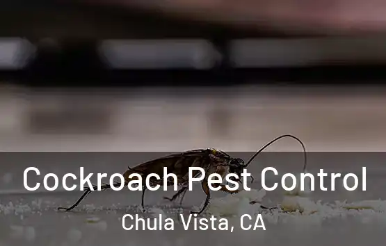  Cockroach Pest Control Chula Vista, CA