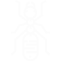 Carpenter Ants Pest Control Chula Vista, CA