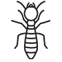 Termites Pest Control Chula Vista, California