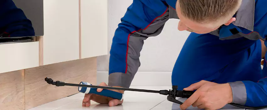 Ant Control for Bedrooms in Chula Vista, CA