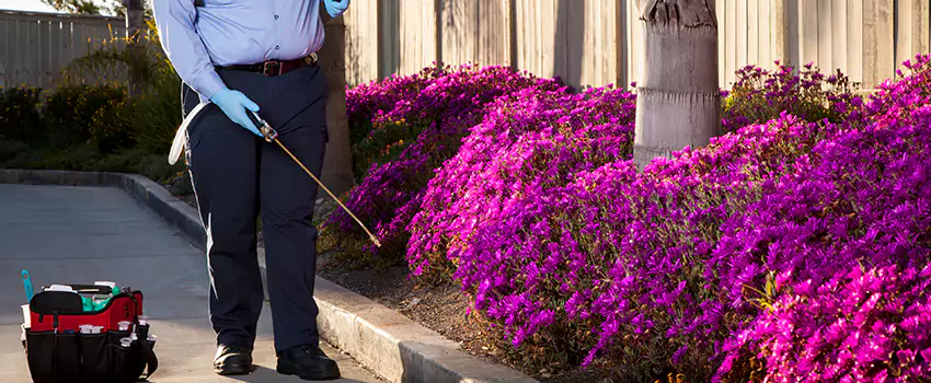 Pest Extermination for Bedrooms in Chula Vista, CA