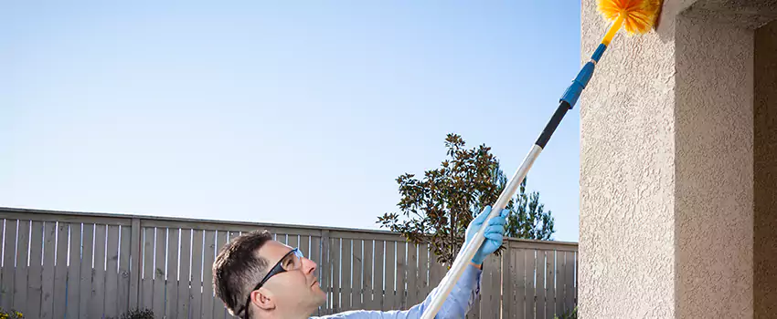 spider-exterminator in Chula Vista, CA