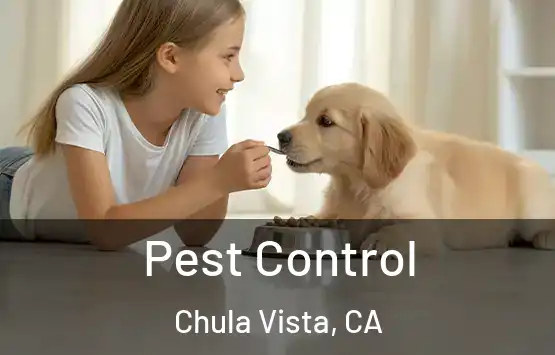  Pest Control Chula Vista, CA