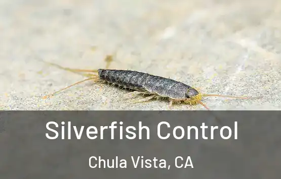  Silverfish Control Chula Vista, CA